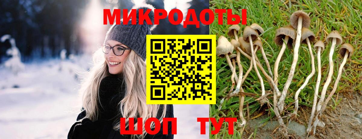 Галлюциногенные грибы GOLDEN TEACHER  Вход с VPN  Галлюциногенные грибы GOLDEN TEACHER  Нефтекамск 