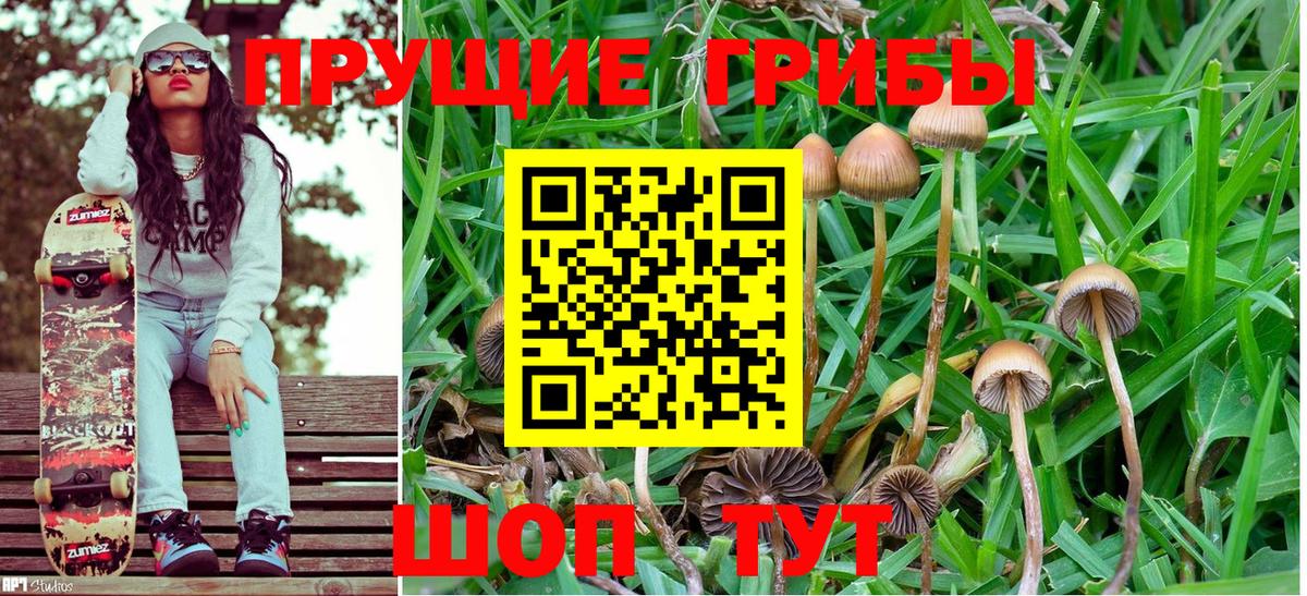 Галлюциногенные грибы Cubensis Нефтекамск